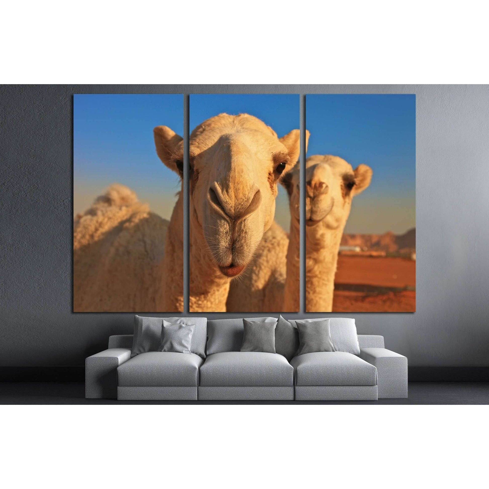 camel №2343 Ready to Hang Canvas Print - Zellart Canvas Prints ALL_Products, s-2343