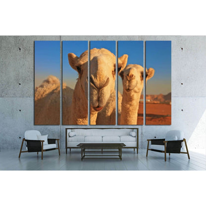 camel №2343 Ready to Hang Canvas Print - Zellart Canvas Prints ALL_Products, s-2343