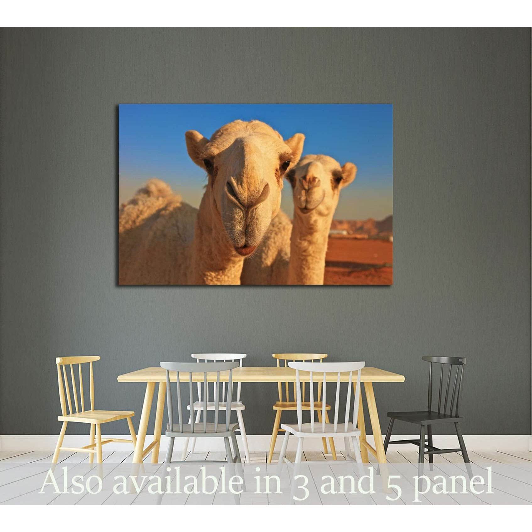 camel №2343 Ready to Hang Canvas Print - Zellart Canvas Prints ALL_Products, s-2343