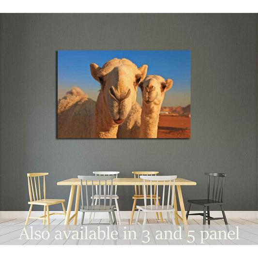 camel №2343 Ready to Hang Canvas Print - Zellart Canvas Prints ALL_Products, s-2343