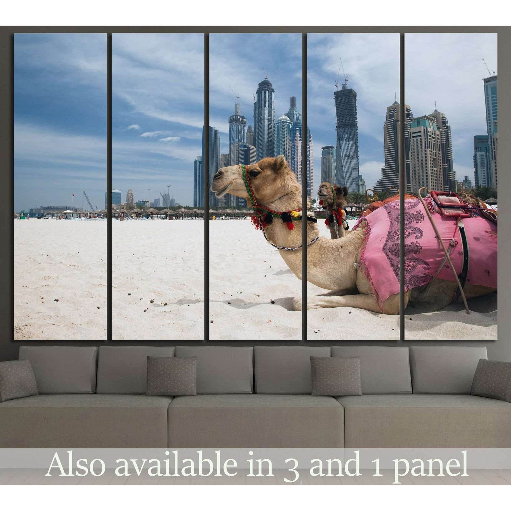 Camel at the urban background of Dubai №1135 Ready to Hang Canvas Print - Zellart Canvas Prints ALL_Products, s-1135