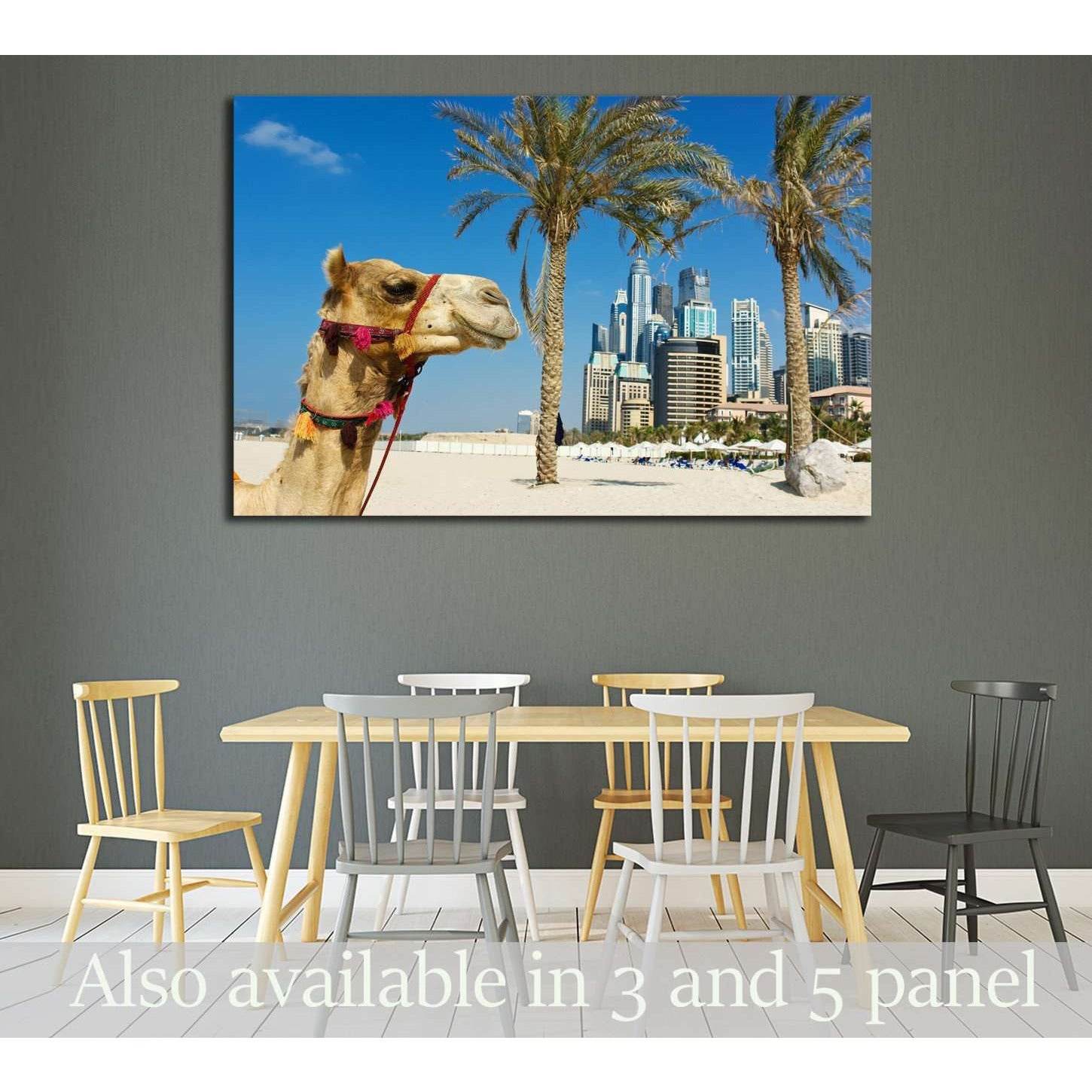 Camel at the urban building background of Dubai. UAE №2224 Ready to Hang Canvas Print