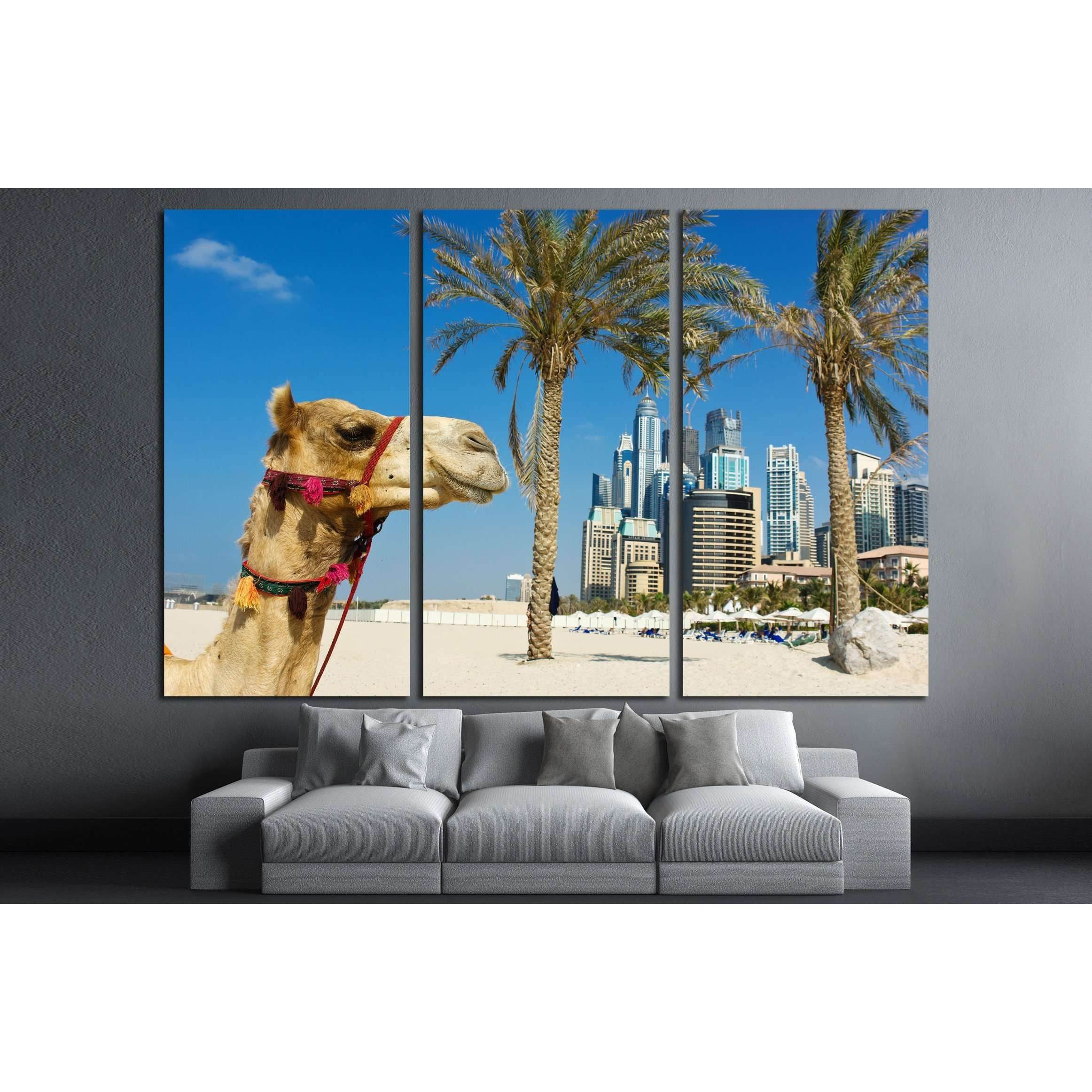 Camel at the urban building background of Dubai. UAE №2224 Ready to Hang Canvas Print