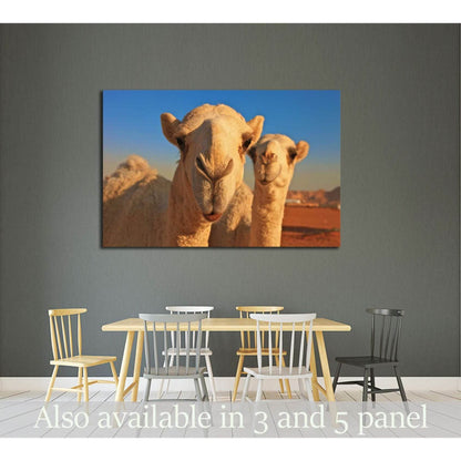 camel №2343 Ready to Hang Canvas PrintCanvas art arrives ready to hang, with hanging accessories included and no additional framing required. Every canvas print is hand-crafted, made on-demand at our workshop and expertly stretched around 100% North Ameri