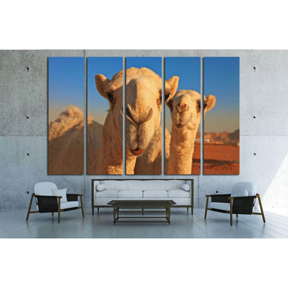 camel №2343 Ready to Hang Canvas PrintCanvas art arrives ready to hang, with hanging accessories included and no additional framing required. Every canvas print is hand-crafted, made on-demand at our workshop and expertly stretched around 100% North Ameri