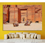 Camels Relaxed №810 Ready to Hang Canvas Print