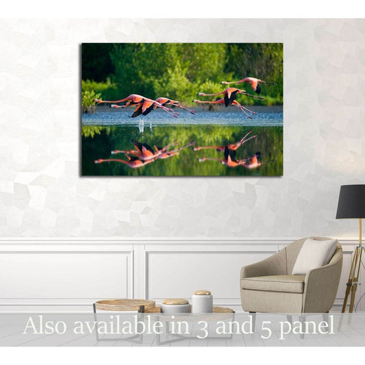 Caribbean flamingos flying over water with reflection. Cuba №3260 Ready to Hang Canvas Print - Zellart Canvas Prints ALL_Products, s-3260