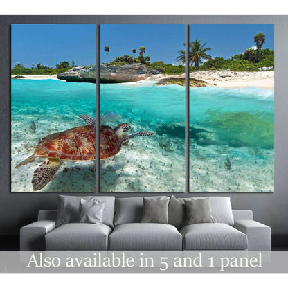Caribbean Sea scenery with green turtle in Mexico №2502 Ready to Hang Canvas Print - Zellart Canvas Prints ALL_Products, s-2502
