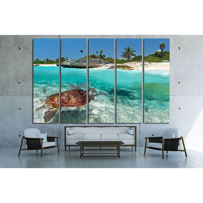 Caribbean Sea scenery with green turtle in Mexico №2502 Ready to Hang Canvas Print - Zellart Canvas Prints ALL_Products, s-2502