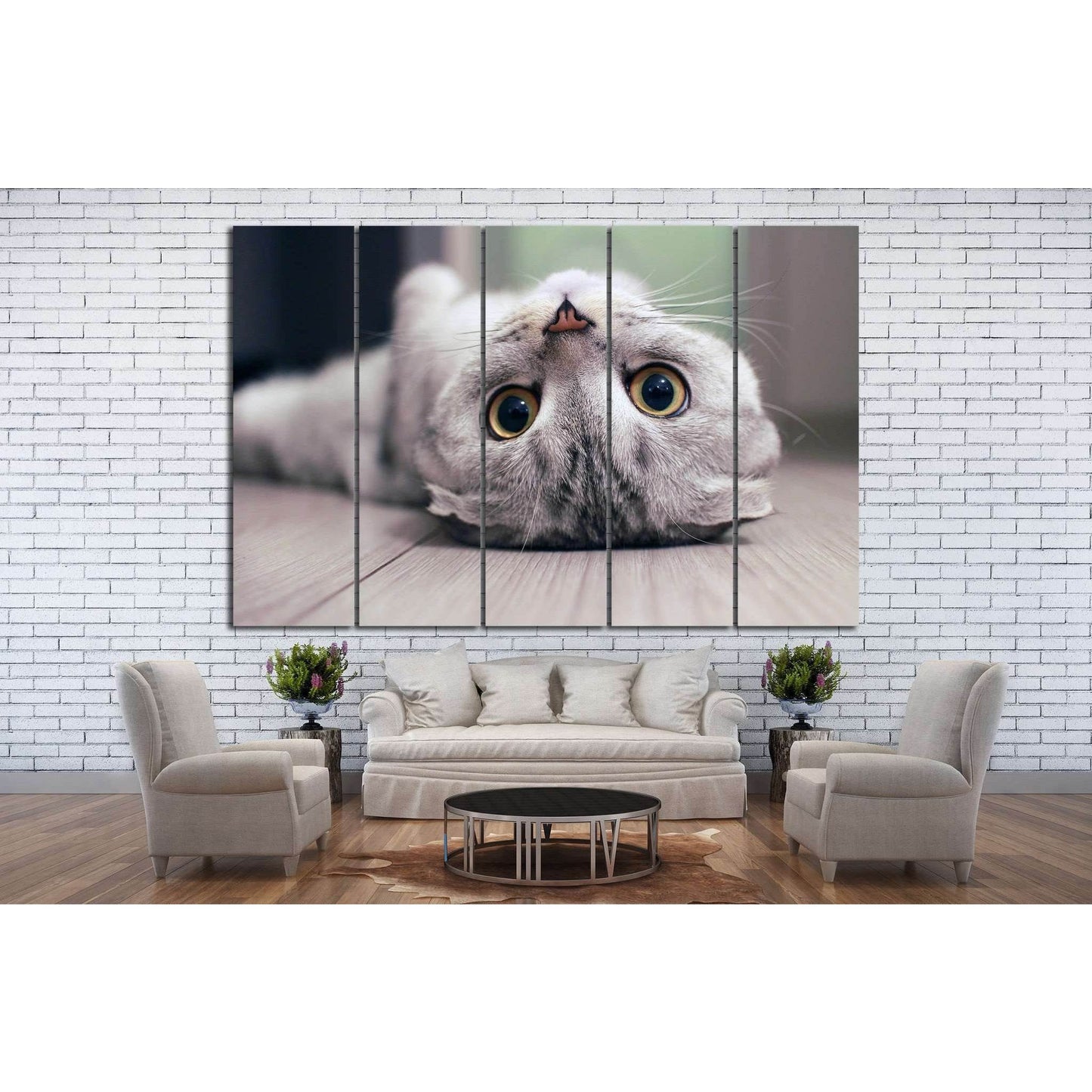 Cat lying on the floor №11 Ready to Hang Canvas Print - Zellart Canvas Prints ALL_Products, s-11