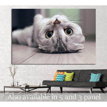 Cat lying on the floor №11 Ready to Hang Canvas Print - Zellart Canvas Prints ALL_Products, s-11