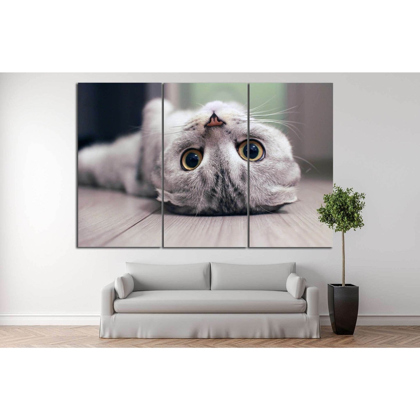 Cat lying on the floor №11 Ready to Hang Canvas Print - Zellart Canvas Prints ALL_Products, s-11