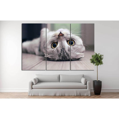Cat lying on the floor №11 Ready to Hang Canvas Print - Zellart Canvas Prints ALL_Products, s-11