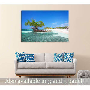 Cayo Levisa Cuba beach canvas print with mangrove tree above sofa in a coastal living room