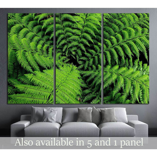 Center of fern tree in native bush, New Zealand №2507 Ready to Hang Canvas Print - Zellart Canvas Prints ALL_Products, s-2507