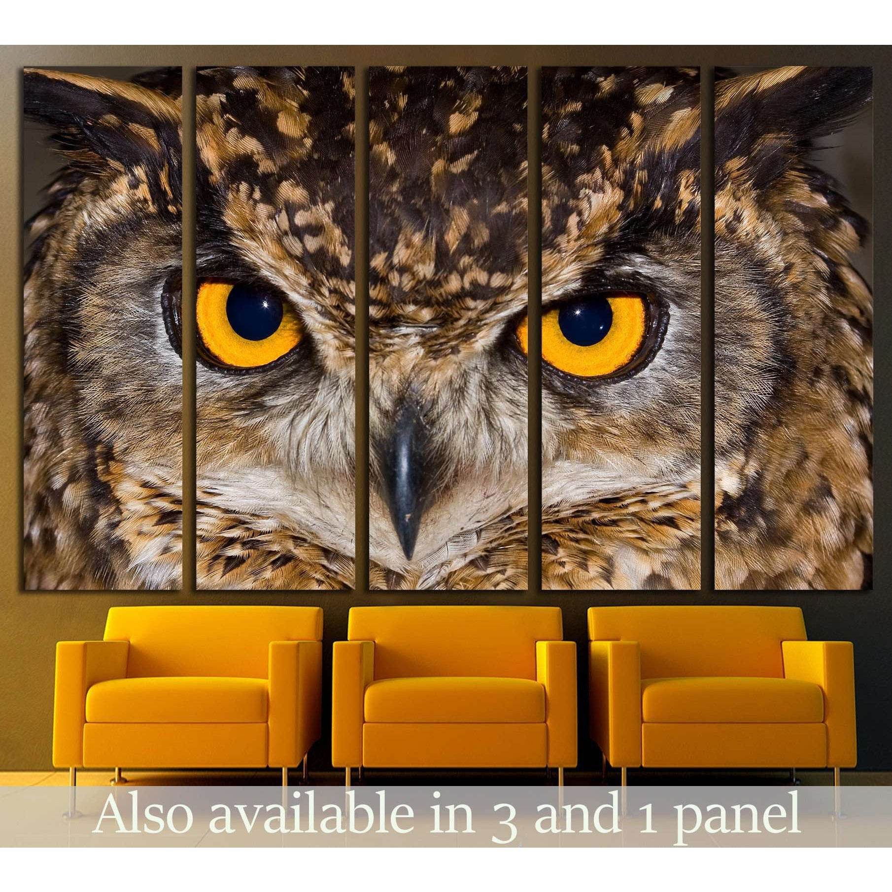 Close-up of a Cape Eagle Owl with large piercing yellow eyes №2333 Ready to Hang Canvas Print - Zellart Canvas Prints ALL_Products, Owl, s-2333