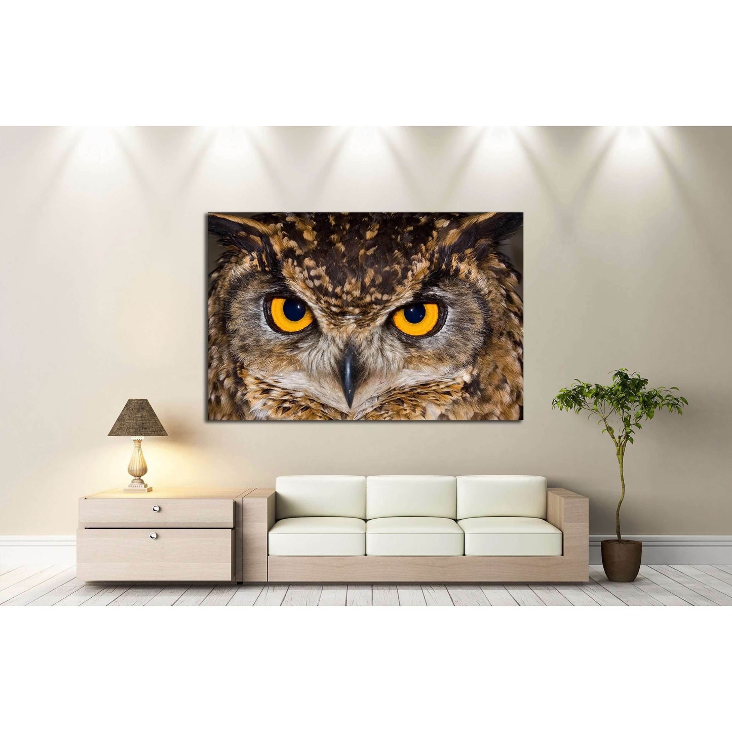 Close-up of a Cape Eagle Owl with large piercing yellow eyes №2333 Ready to Hang Canvas Print - Zellart Canvas Prints ALL_Products, Owl, s-2333