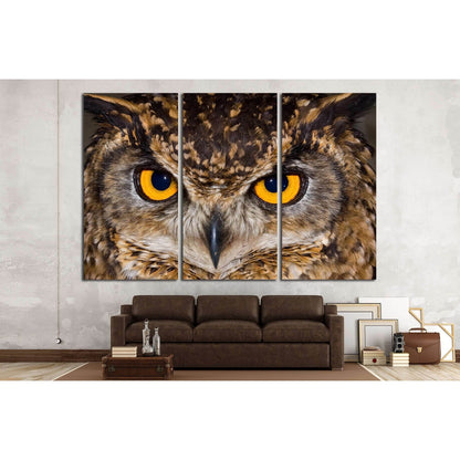 Close-up of a Cape Eagle Owl with large piercing yellow eyes №2333 Ready to Hang Canvas Print - Zellart Canvas Prints ALL_Products, Owl, s-2333