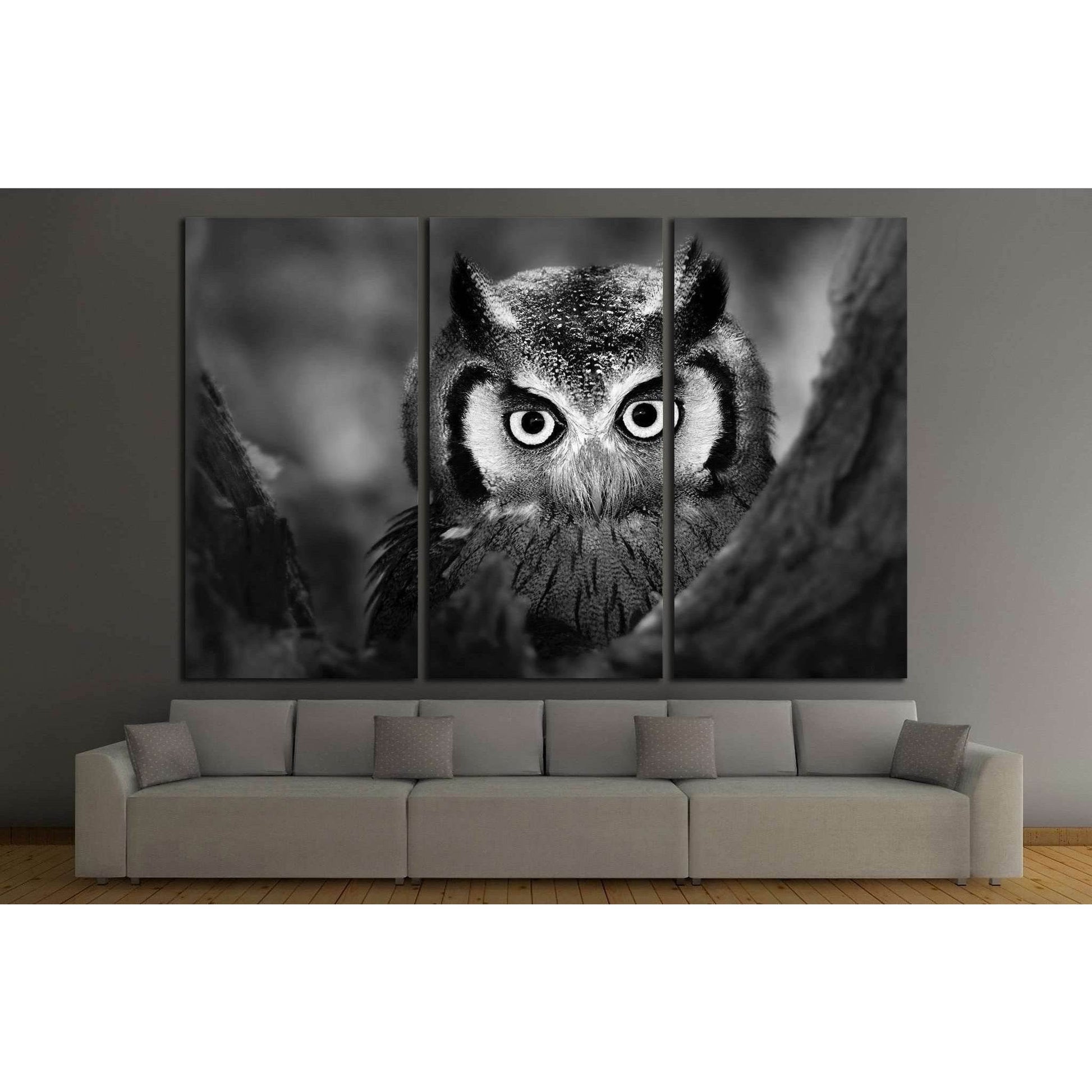 Close-up of a Whitefaced Owl №1842 Ready to Hang Canvas Print - Zellart Canvas Prints ALL_Products, Owl, s-1842