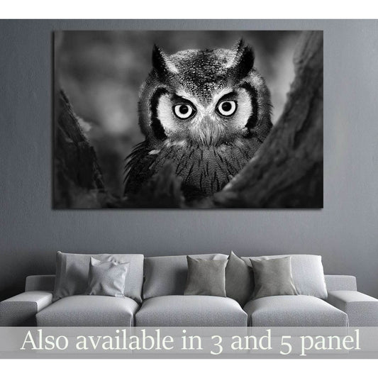 Close-up of a Whitefaced Owl №1842 Ready to Hang Canvas Print - Zellart Canvas Prints ALL_Products, Owl, s-1842