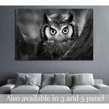 Close-up of a Whitefaced Owl №1842 Ready to Hang Canvas Print