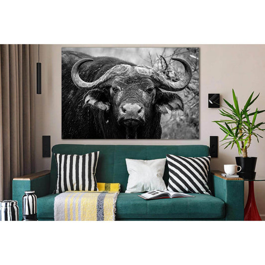 Close Up Of Buffalo №SL890 Ready to Hang Canvas Print - Zellart Canvas Prints 0new, ALL_Products, Black & White Wall Art