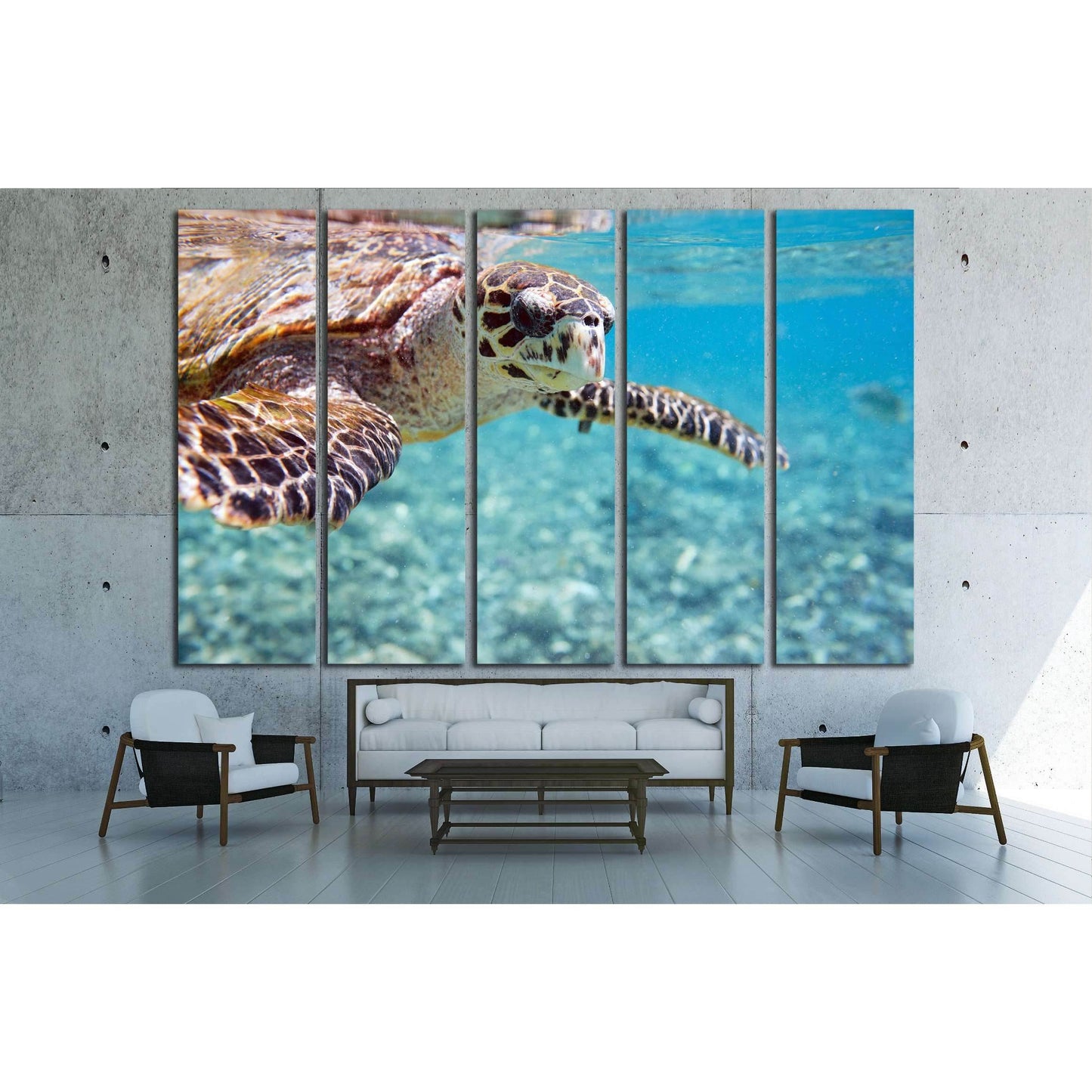 Close up of Hawksbill sea turtle swimming in Indian ocean in Seychelles №2337 Ready to Hang Canvas Print - Zellart Canvas Prints ALL_Products, s-2337