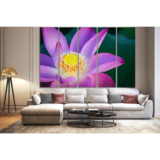 Close Up Of Lotus Flower №SL709 Ready to Hang Canvas Print - Zellart Canvas Prints 0new, ALL_Products, Floral & Botanical Wall Art