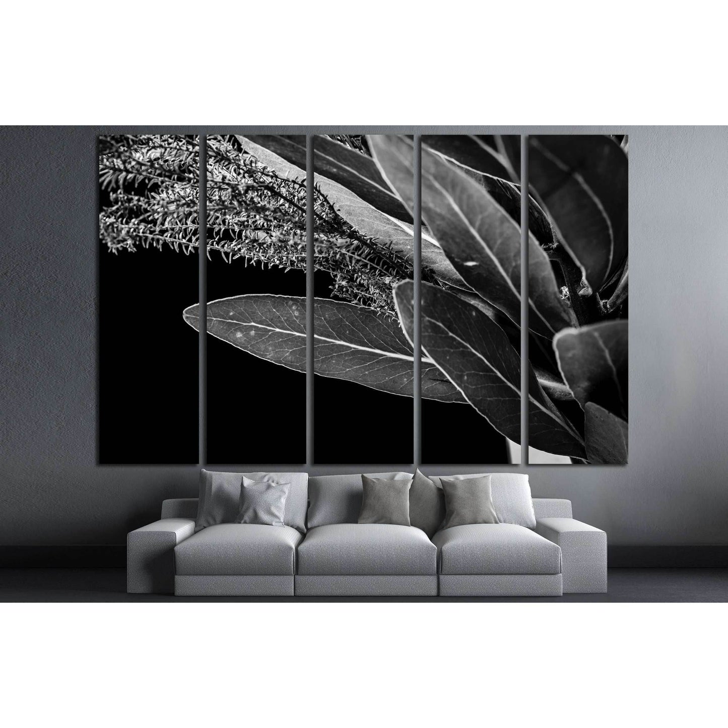 Close up of Protea (leaf) flowers №2827 Ready to Hang Canvas Print - Zellart Canvas Prints ALL_Products, s-2827