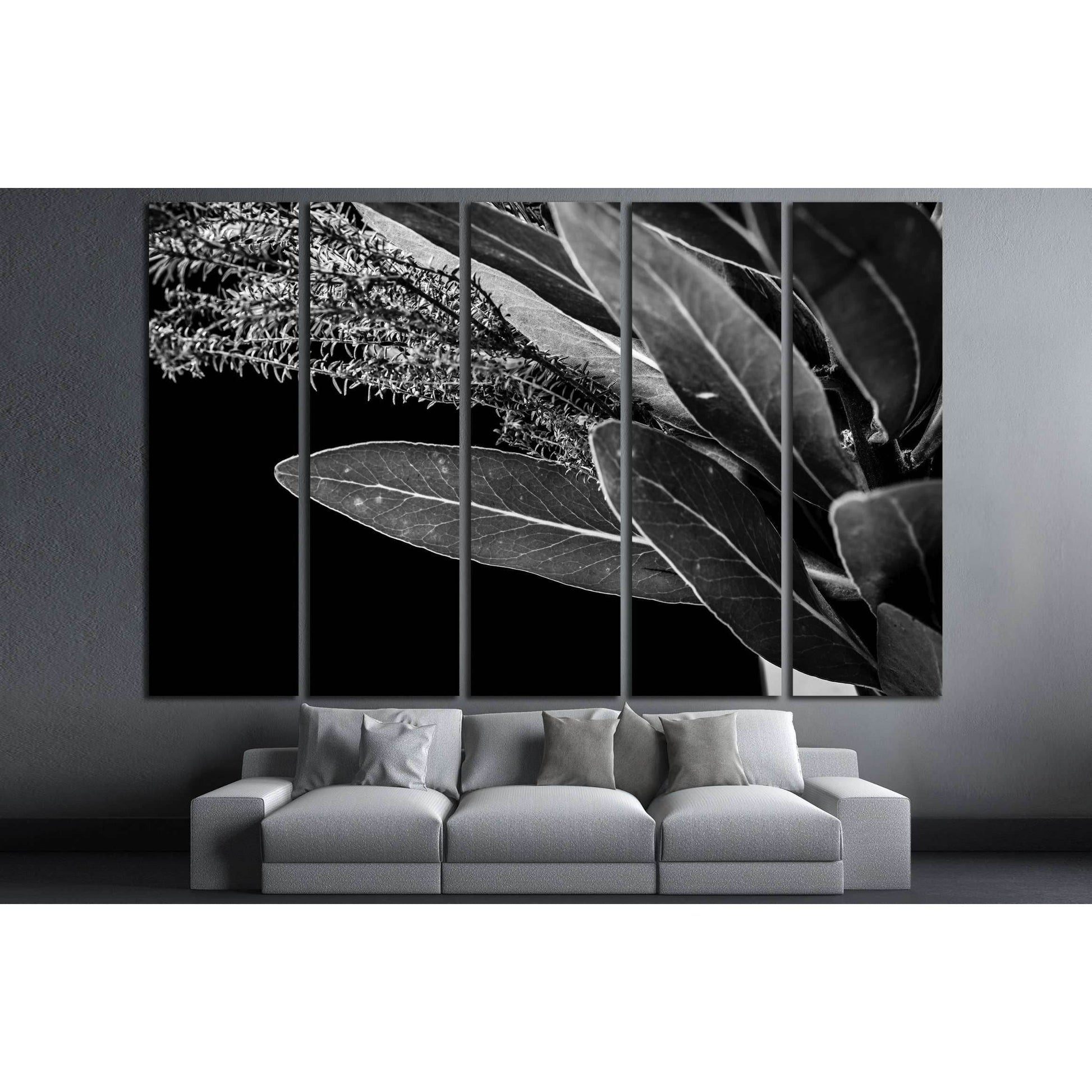 Close up of Protea (leaf) flowers №2827 Ready to Hang Canvas Print - Zellart Canvas Prints ALL_Products, s-2827