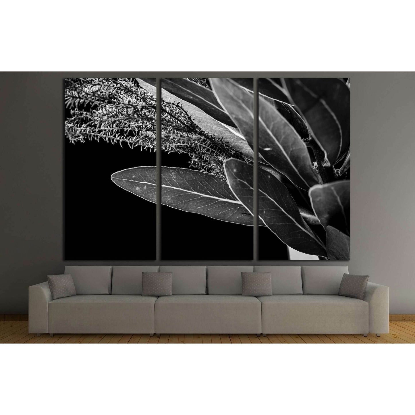 Close up of Protea (leaf) flowers №2827 Ready to Hang Canvas Print - Zellart Canvas Prints ALL_Products, s-2827