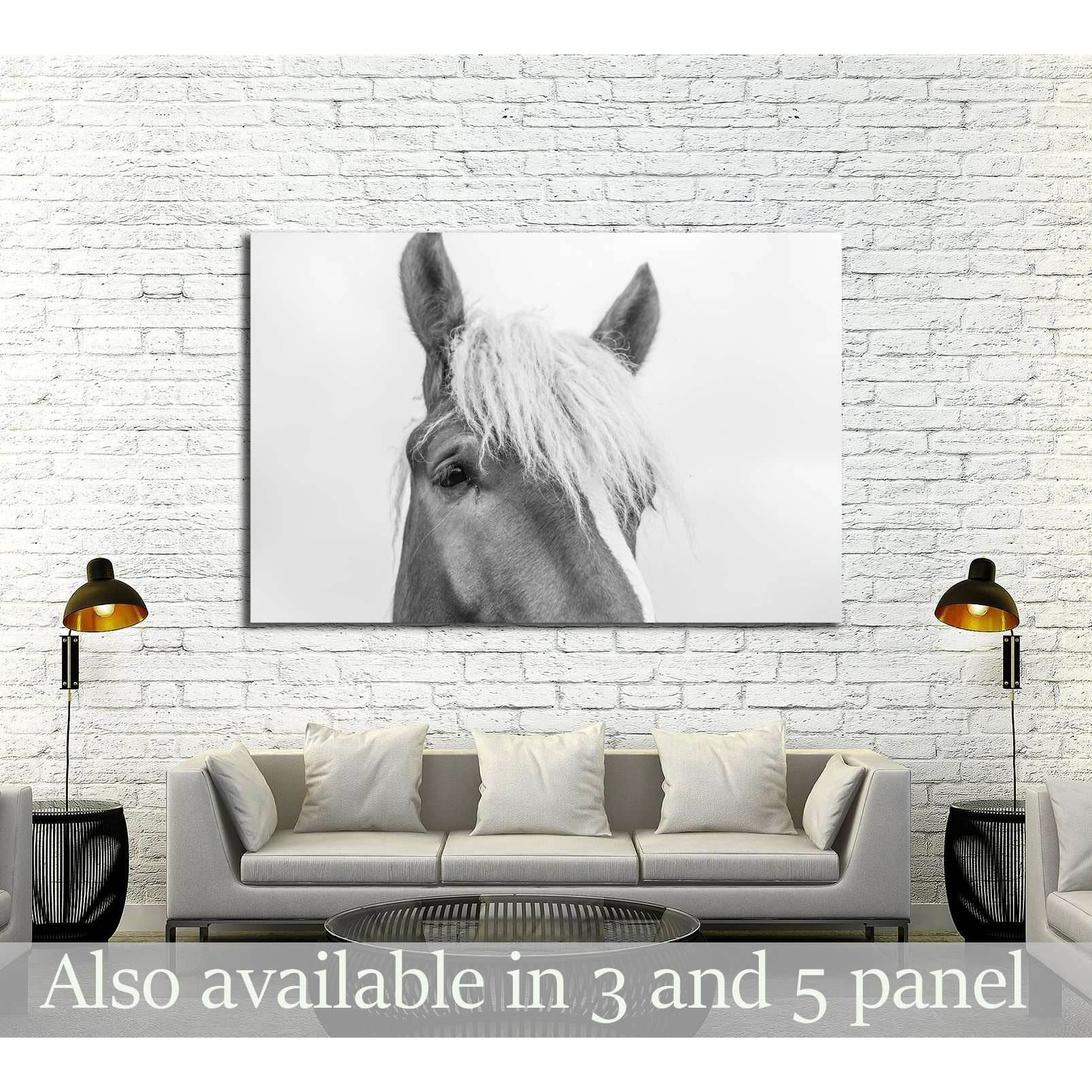 Closeup horse wall art №5007 - Zellart Canvas Prints ALL_Products, Horses, s-5007