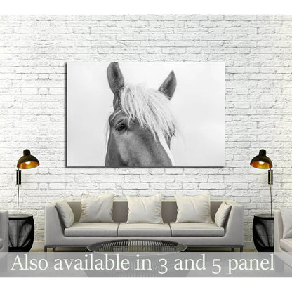Closeup horse wall art №5007 - Zellart Canvas Prints ALL_Products, Horses, s-5007