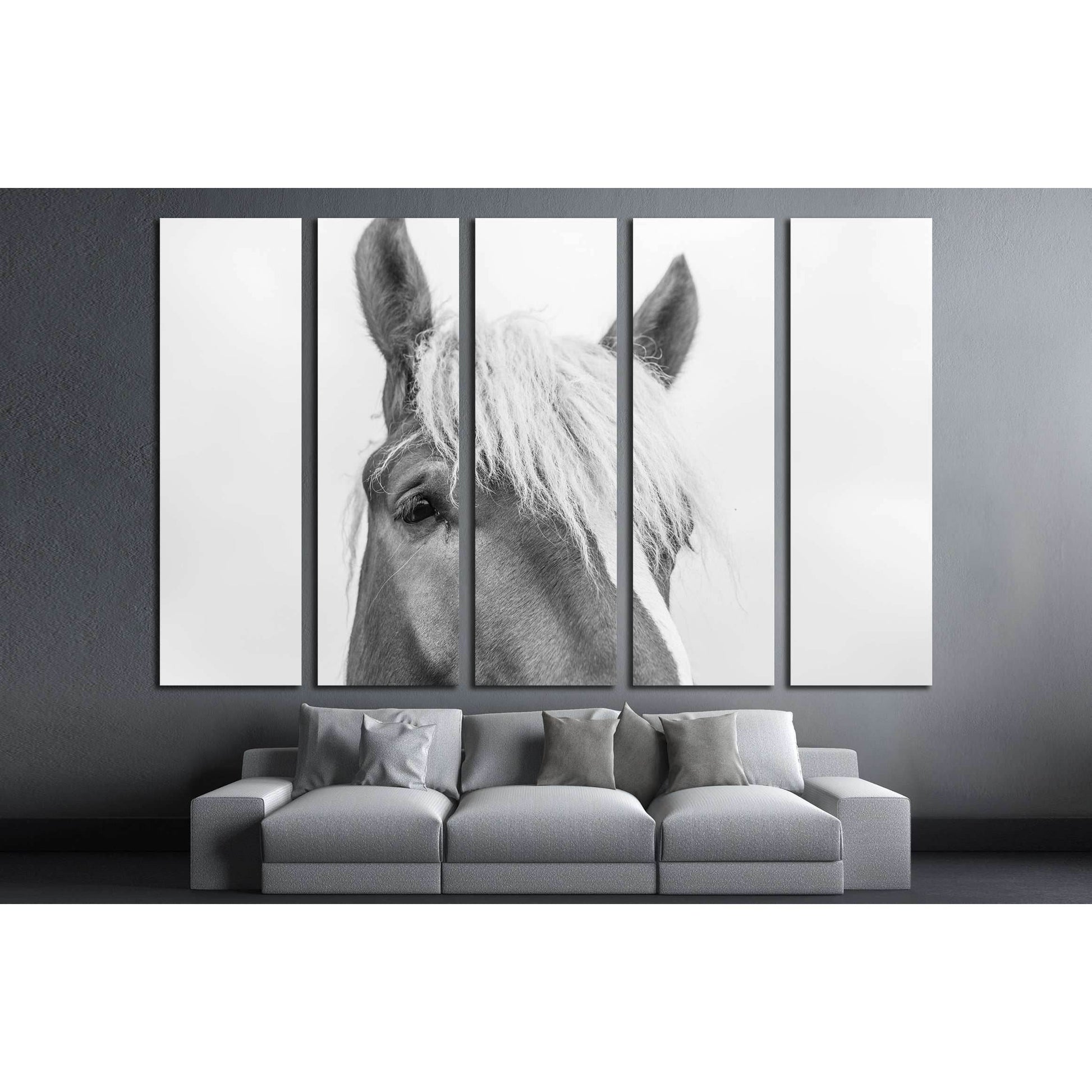 Closeup horse wall art №5007 - Zellart Canvas Prints ALL_Products, Horses, s-5007
