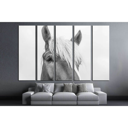 Closeup horse wall art №5007 - Zellart Canvas Prints ALL_Products, Horses, s-5007