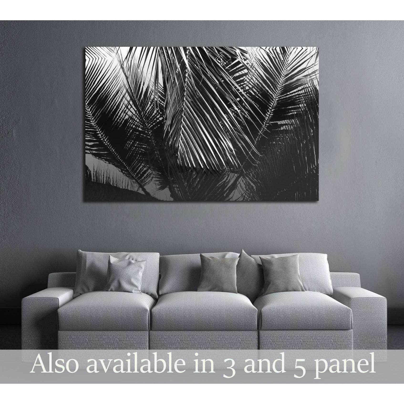 Coconut leaves abstract reflection,black and white №2831 Ready to Hang Canvas PrintCanvas art arrives ready to hang, with hanging accessories included and no additional framing required. Every canvas print is hand-crafted, made on-demand at our workshop a