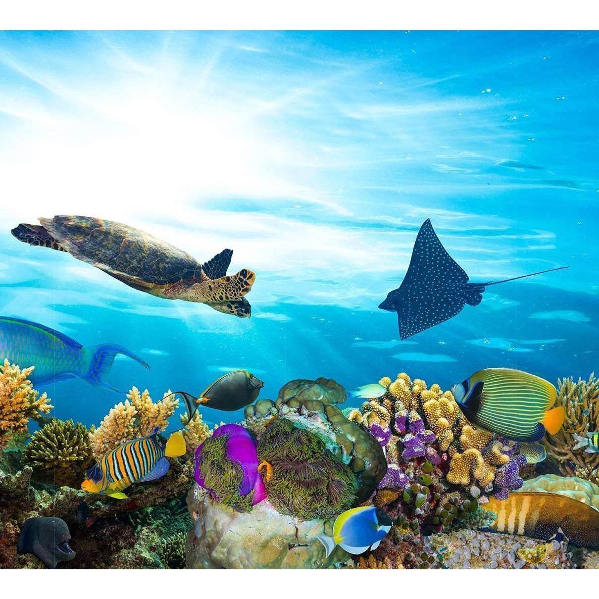 Colorful Coral Reef Large Ready to Hang Canvas Print №45 Ready to Hang Canvas PrintCanvas art arrives ready to hang, with hanging accessories included and no additional framing required. Every canvas print is hand-crafted, made on-demand at our workshop a