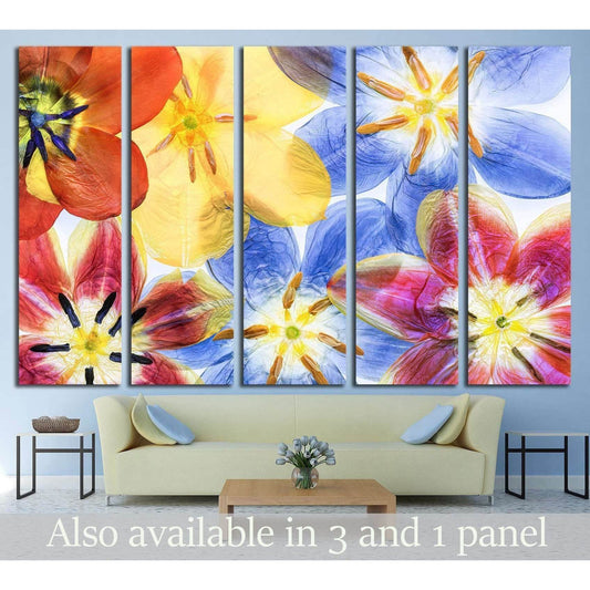 Colourful pressed tulip flowers №1354 Ready to Hang Canvas PrintCanvas art arrives ready to hang, with hanging accessories included and no additional framing required. Every canvas print is hand-crafted, made on-demand at our workshop and expertly stretch