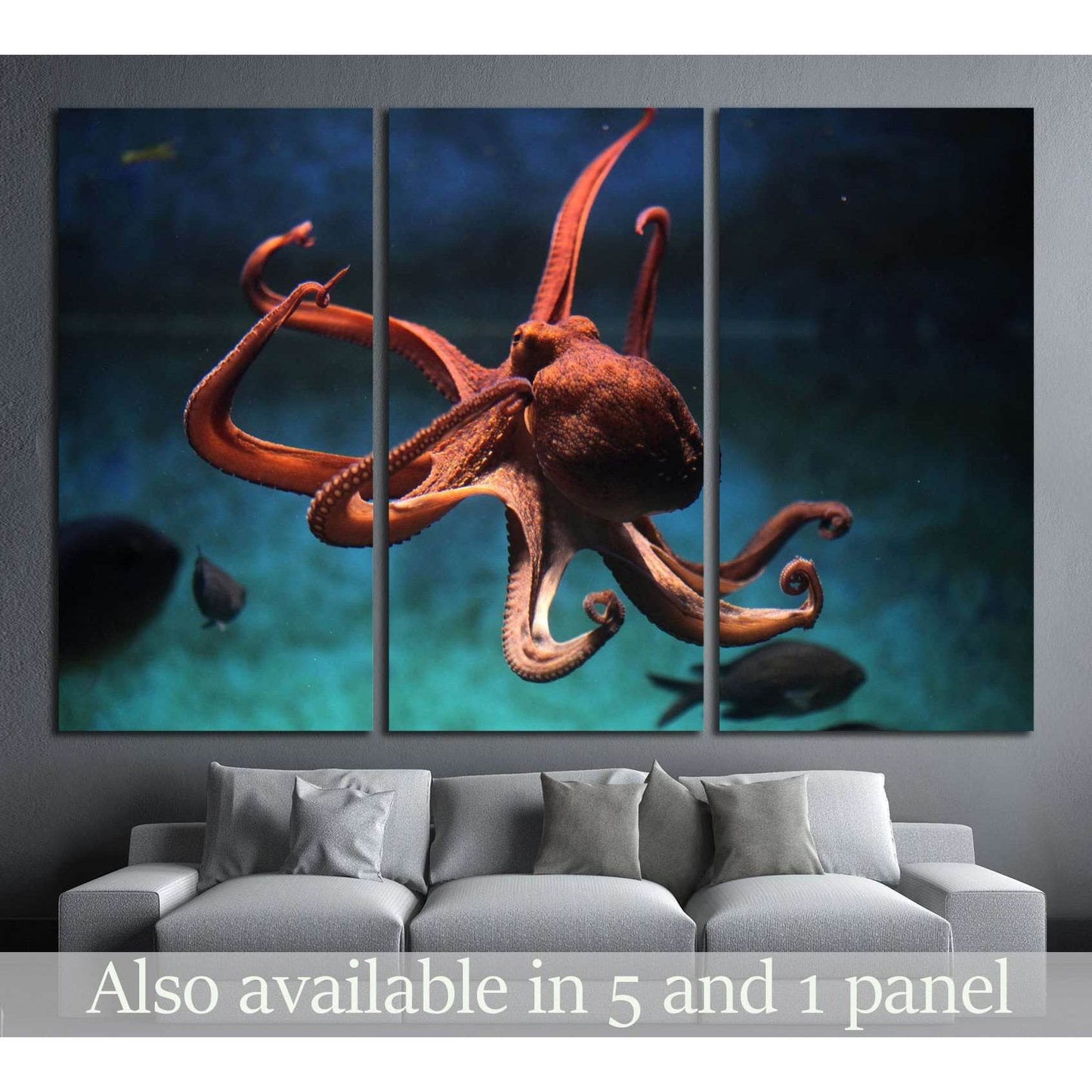 Common octopus (Octopus vulgaris). Wildlife animal №1856 Ready to Hang Canvas Print - Zellart Canvas Prints ALL_Products, s-1856
