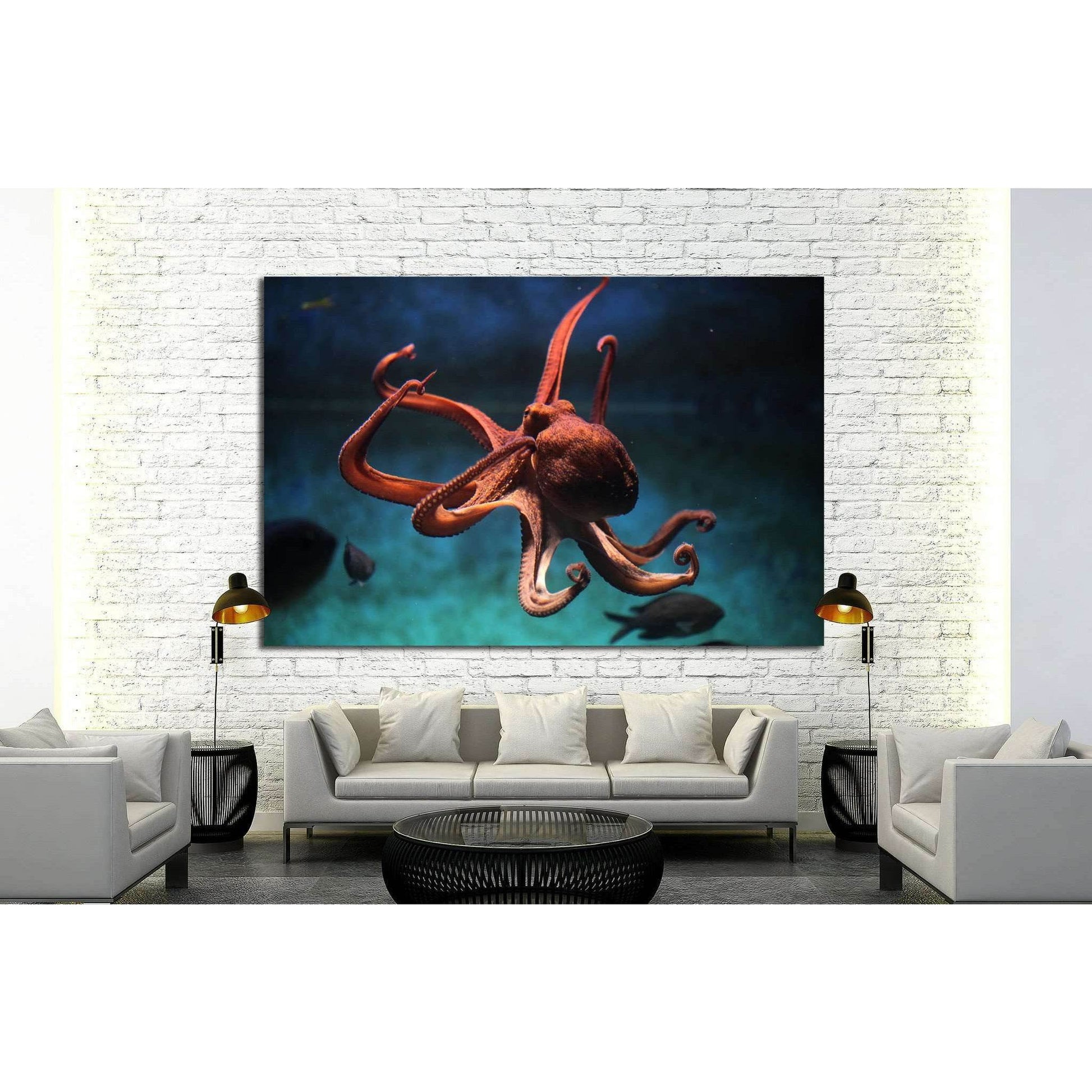 Common octopus (Octopus vulgaris). Wildlife animal №1856 Ready to Hang Canvas Print - Zellart Canvas Prints ALL_Products, s-1856