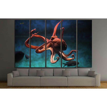 Common octopus (Octopus vulgaris). Wildlife animal №1856 Ready to Hang Canvas Print - Zellart Canvas Prints ALL_Products, s-1856