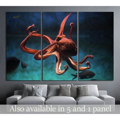 Common octopus (Octopus vulgaris). Wildlife animal №1856 Ready to Hang Canvas PrintCanvas art arrives ready to hang, with hanging accessories included and no additional framing required. Every canvas print is hand-crafted, made on-demand at our workshop a