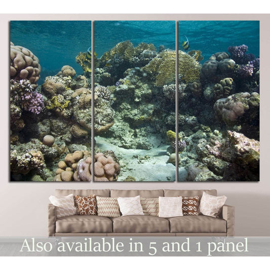 coral and fish №836 Ready to Hang Canvas Print - Zellart Canvas Prints ALL_Products, s-836