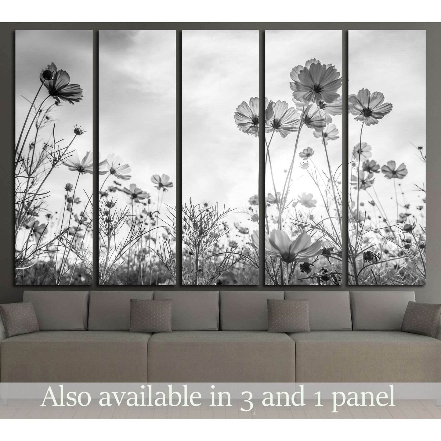 Cosmos flower on black and white background №3272 Ready to Hang Canvas Print - Zellart Canvas Prints ALL_Products, s-3272