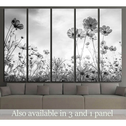Cosmos flower on black and white background №3272 Ready to Hang Canvas Print - Zellart Canvas Prints ALL_Products, s-3272