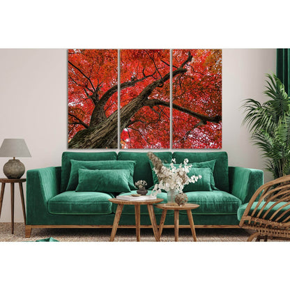 Crown Of The Autumn Tree №SL811 Ready to Hang Canvas Print - Zellart Canvas Prints 0new, ALL_Products, Trees Wall Art
