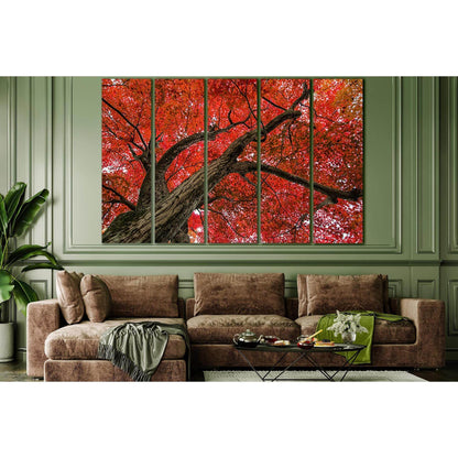 Crown Of The Autumn Tree №SL811 Ready to Hang Canvas Print - Zellart Canvas Prints 0new, ALL_Products, Trees Wall Art