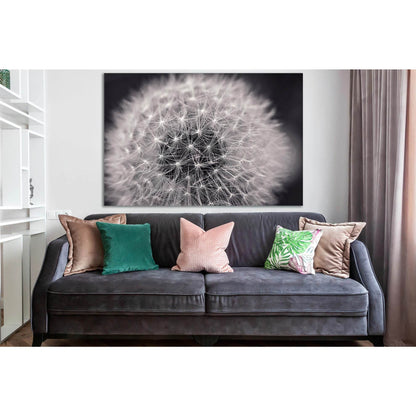 Dandelion Close Up №SL872 Ready to Hang Canvas Print - Zellart Canvas Prints 0new, ALL_Products, Black & White Wall Art