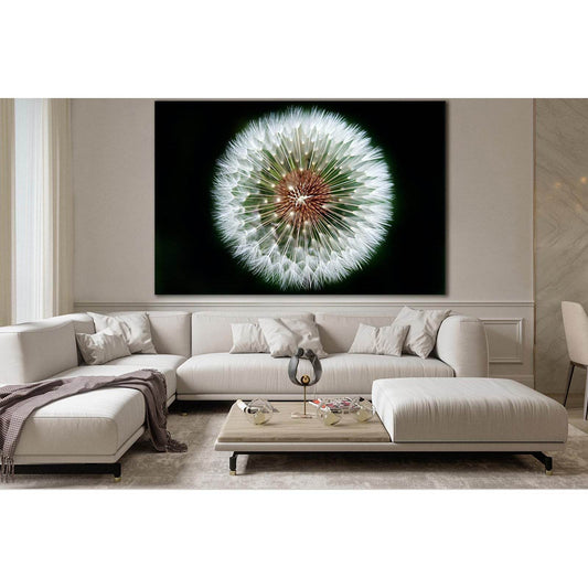 Dandelion Flower №SL692 Ready to Hang Canvas Print - Zellart Canvas Prints 0new, ALL_Products, Floral & Botanical Wall Art