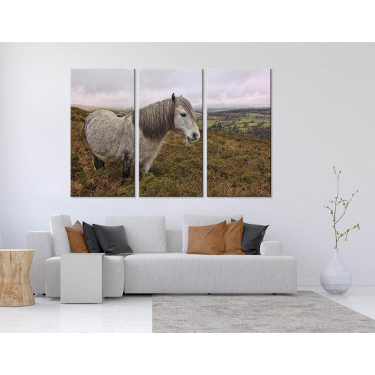 Dartmoor Pony Landscape №04250 Ready to Hang Canvas Print - Zellart Canvas Prints ALL_Products